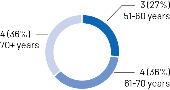 pg10_piechart-age.jpg