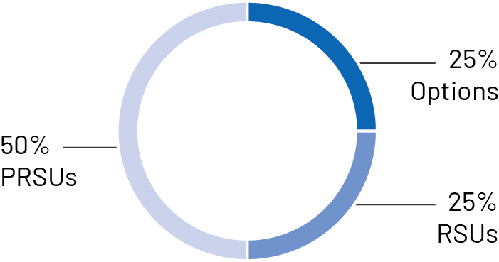 pg15_piechartstockopts2021.jpg